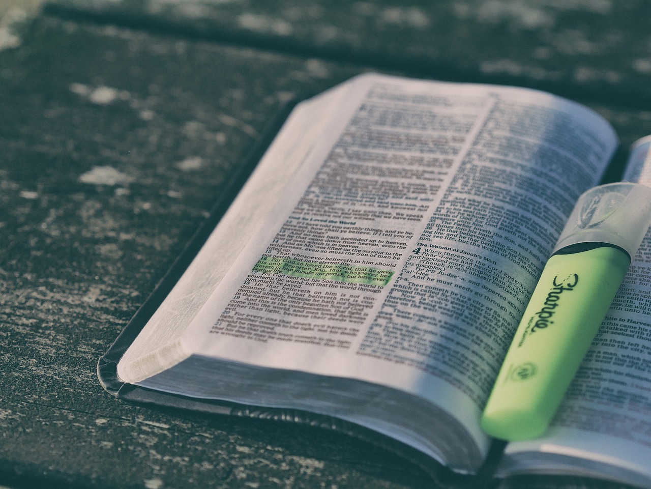 bible scripture reading study